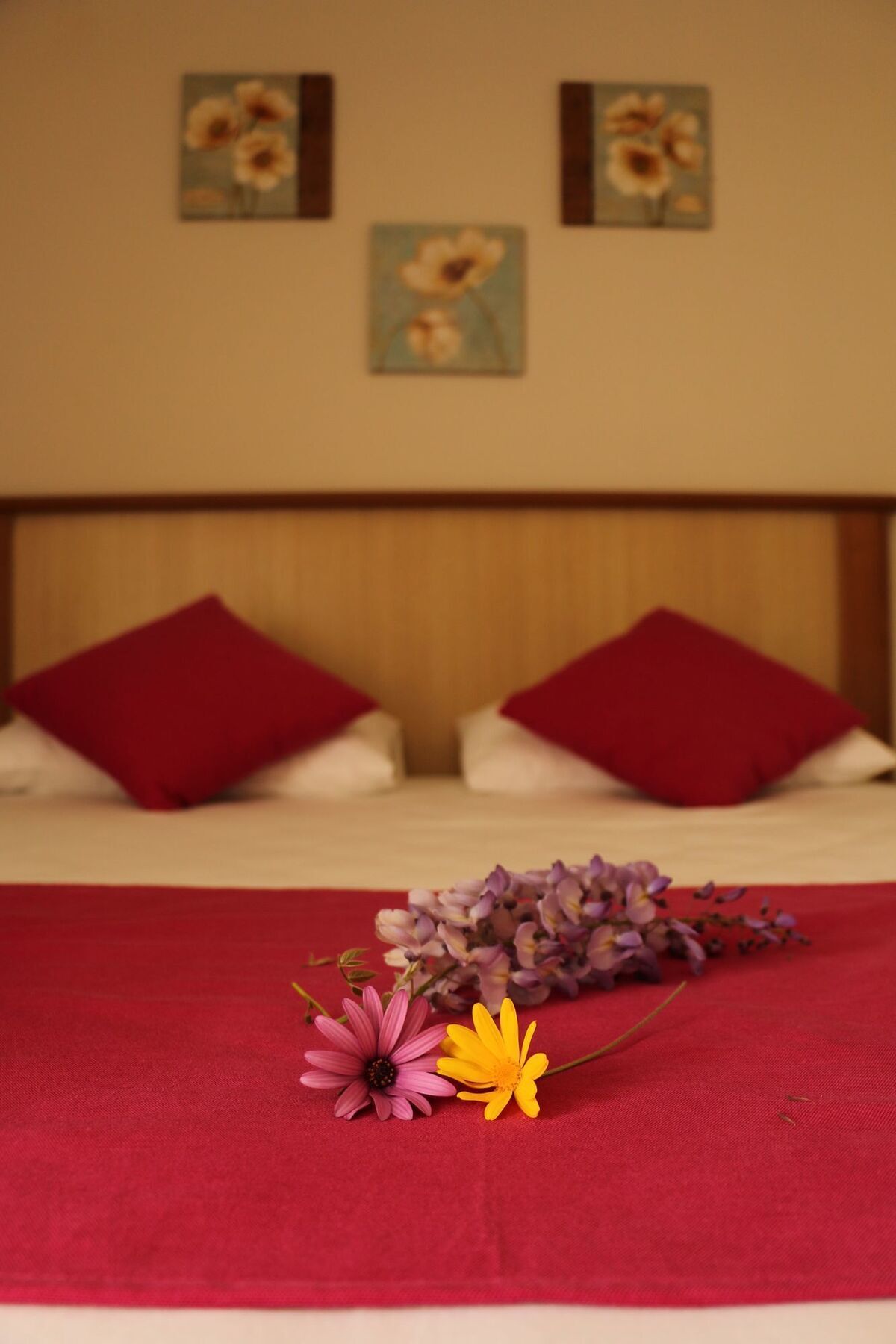 Hotel Cunda Sir à Ayvalı Extérieur photo